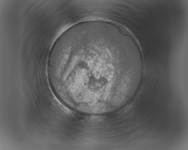 X0000076350847200610201758