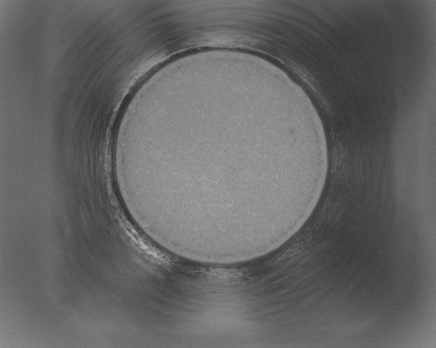 X0000076350848200610201758