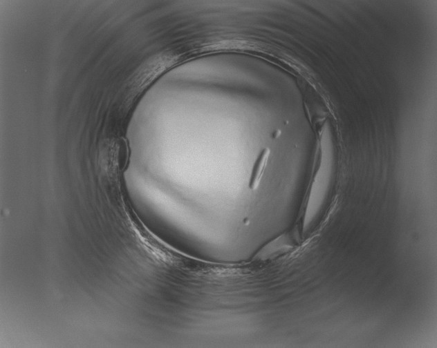 X0000076350849200610201758