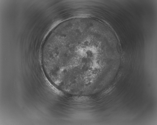 X0000076350851200610201758