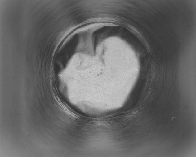 X0000076350852200610201758