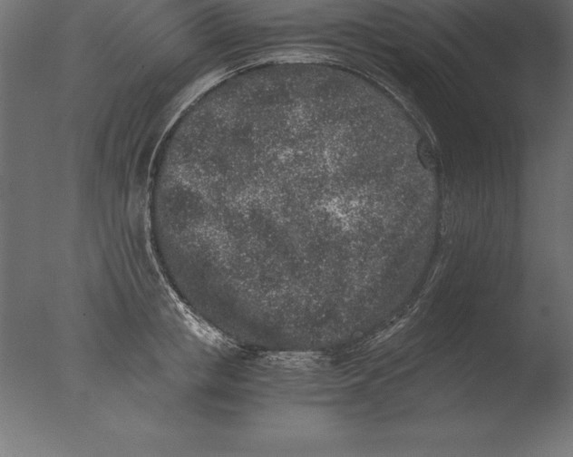 X0000076350853200610201758