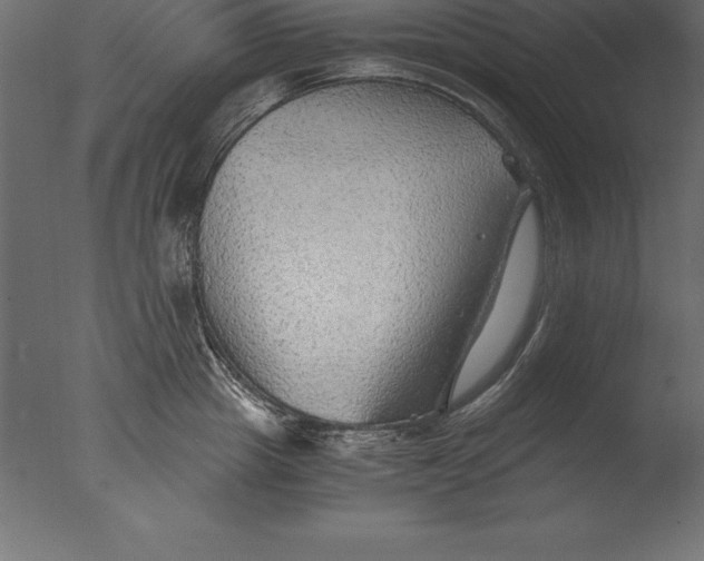 X0000076350857200610201758