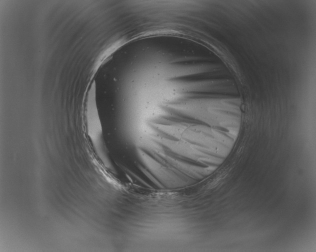 X0000076350858200610201758