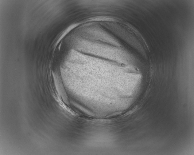 X0000076350860200610201758