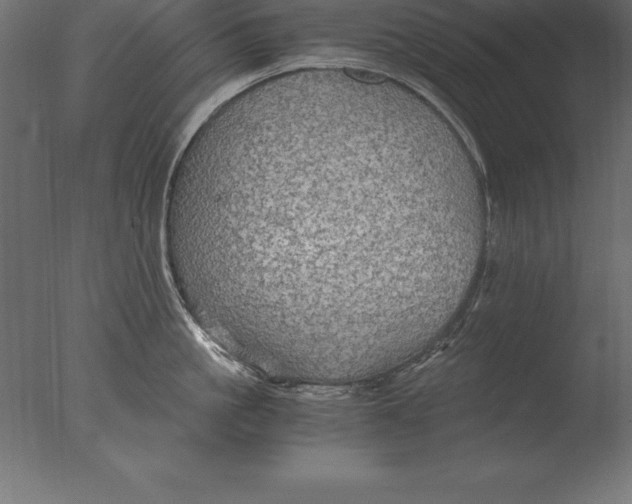 X0000076350861200610201758