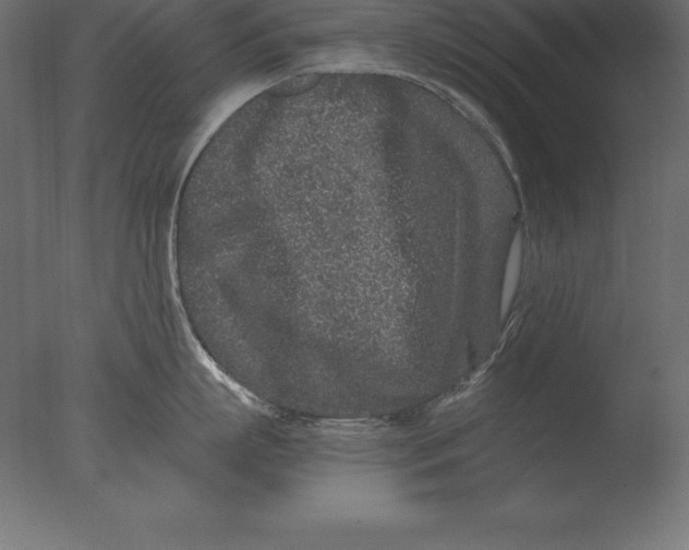 X0000076350863200610201758