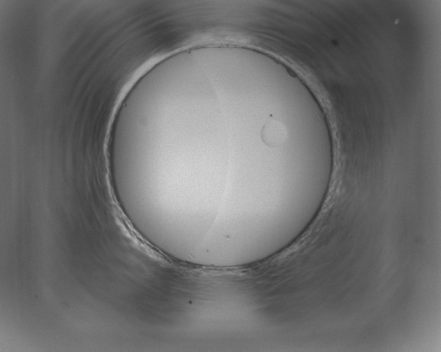 X0000076350864200610201758