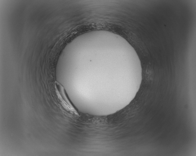 X0000076350865200610201758