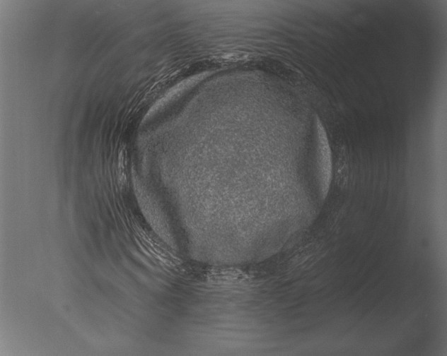 X0000076350866200610201758