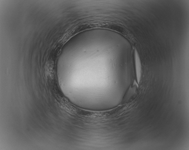 X0000076350867200610201757