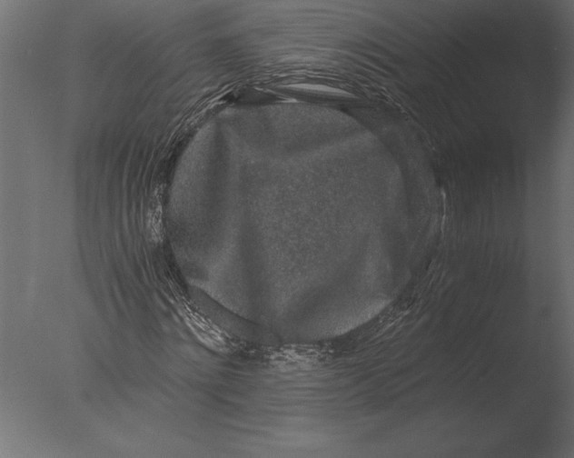 X0000076350868200610201757