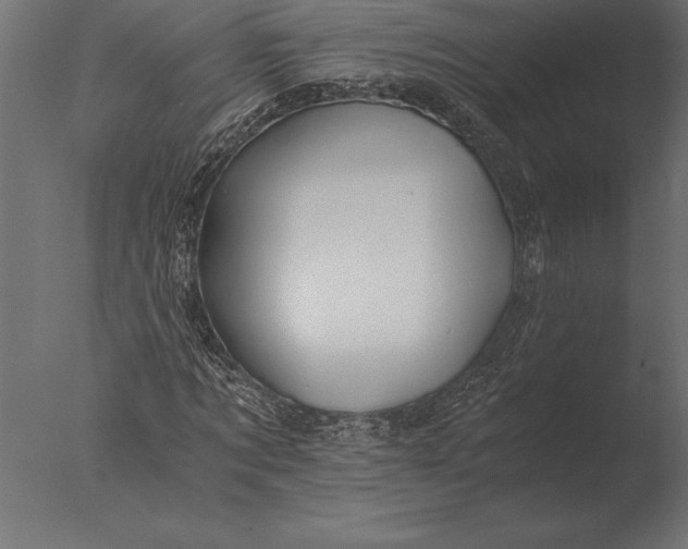 X0000076350869200610201757