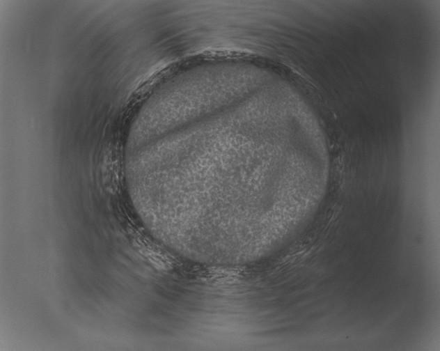 X0000076350870200610201757