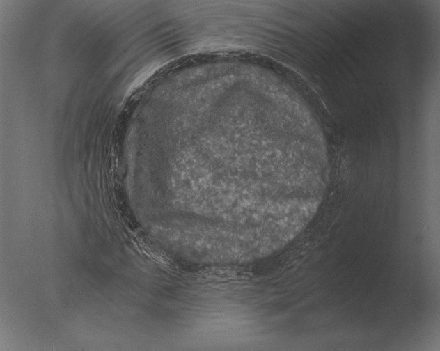 X0000076350871200610201757