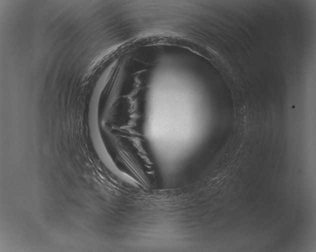 X0000076350872200610201757