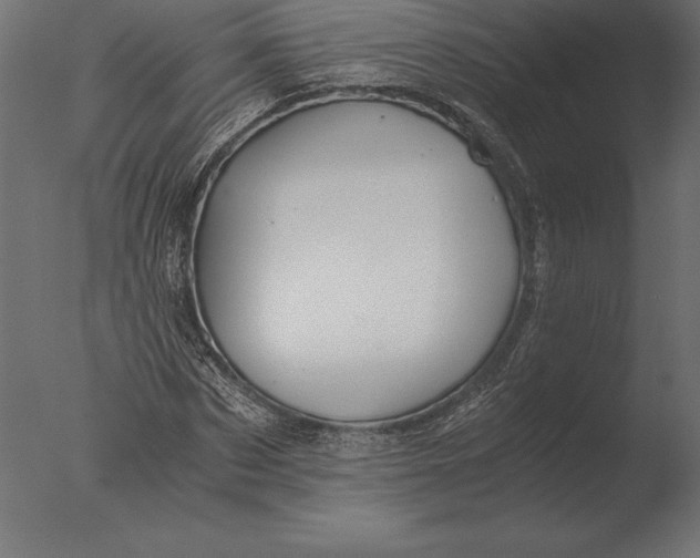 X0000076350873200610201757