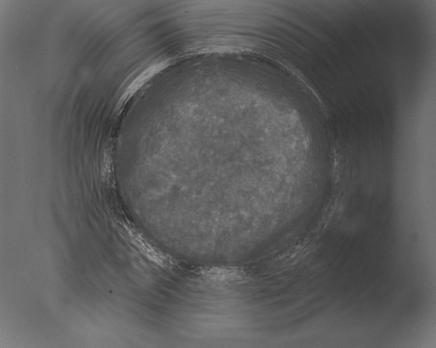 X0000076350874200610201757