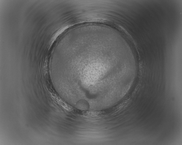 X0000076350875200610201757