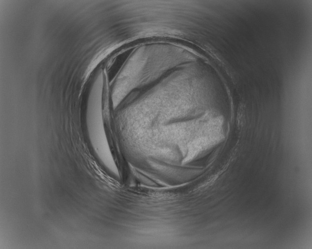 X0000076350877200610201757