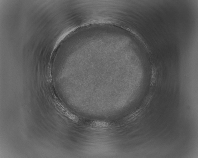 X0000076350878200610201757