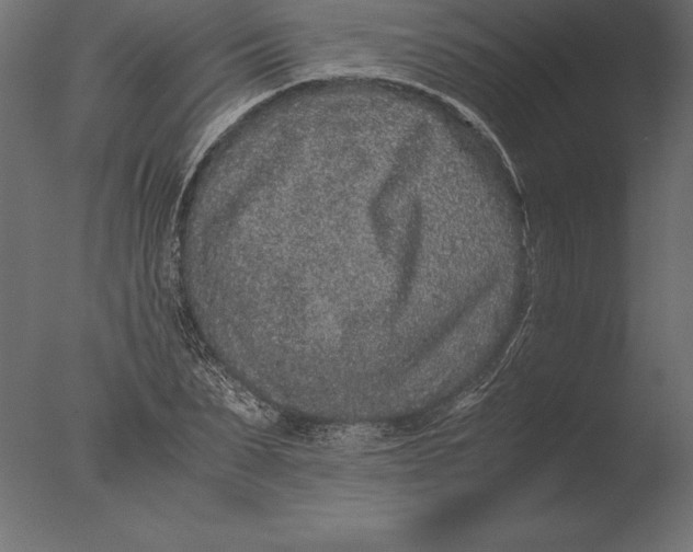 X0000076350879200610201757