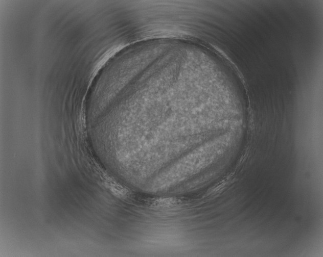 X0000076350883200610201757