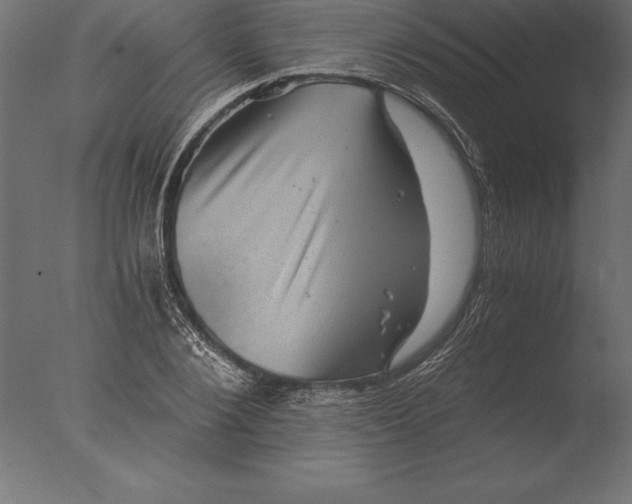 X0000076350884200610201757