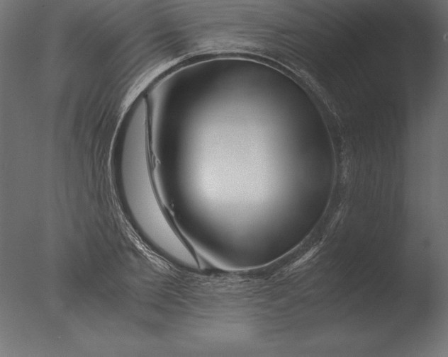 X0000076350885200610201757