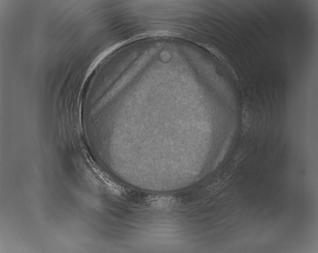 X0000076350886200610201757