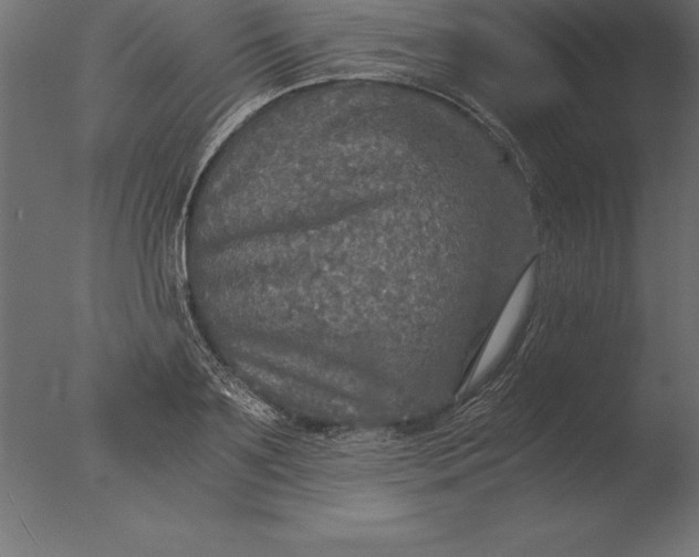 X0000076350891200610201757