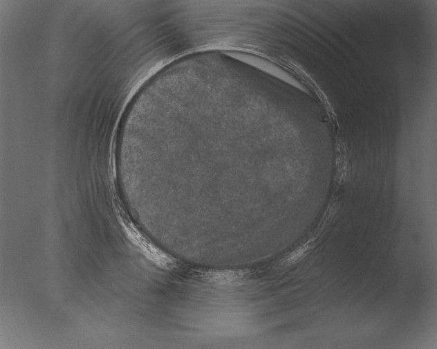 X0000076350892200610201757