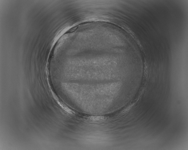 X0000076350893200610201757