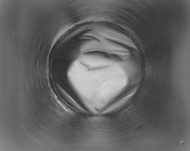 X0000076350894200610201757