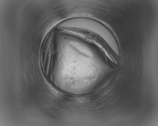 X0000076350895200610201757