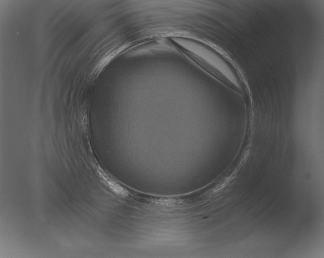 X0000076350897200610201757