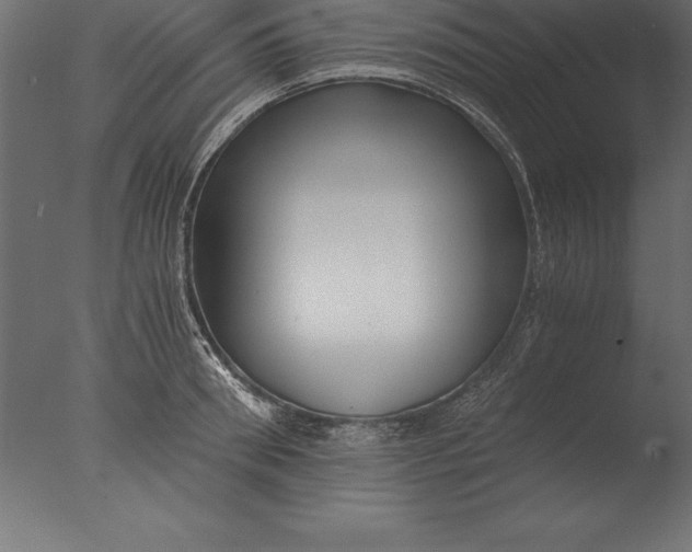 X0000076350898200610201757