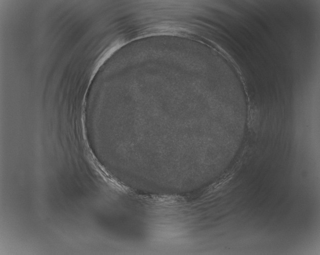 X0000076350899200610201757