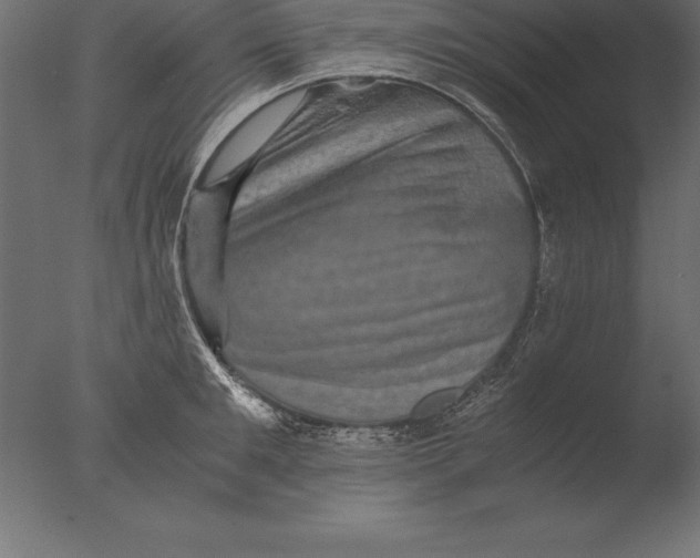 X0000076350901200610201757