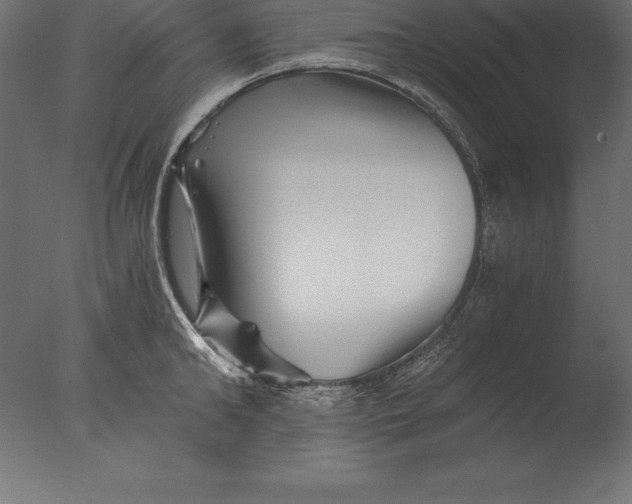 X0000076350902200610201757