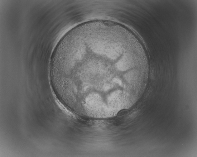 X0000076350903200610201757