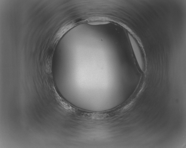 X0000076350905200610201757