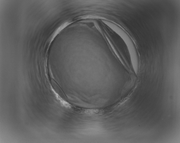 X0000076350909200610201757