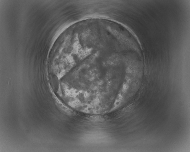 X0000076350911200610201757