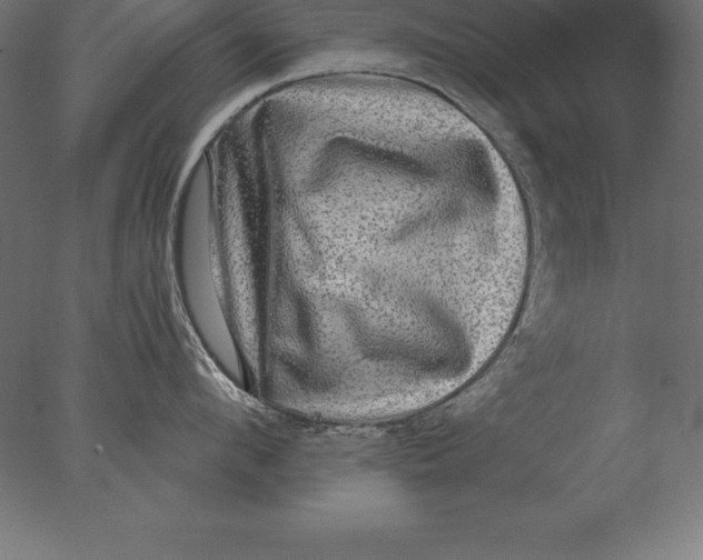 X0000076350912200610201757