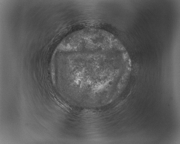 X0000076350913200610201756