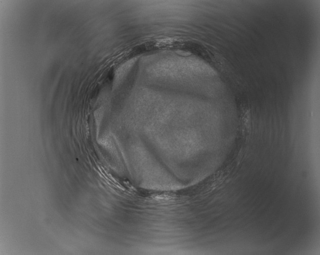 X0000076350914200610201756