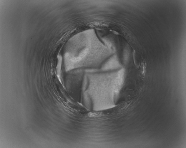 X0000076350915200610201756