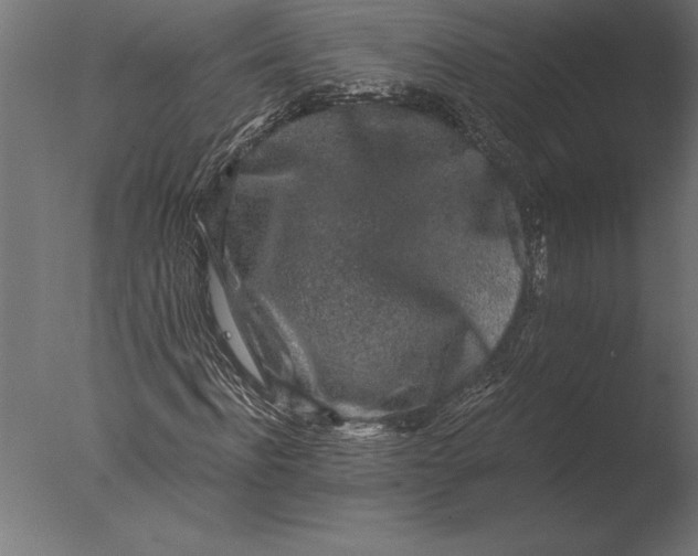 X0000076350916200610201756