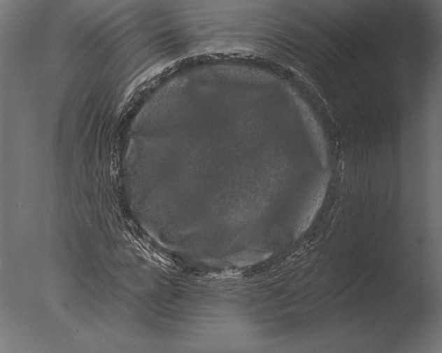 X0000076350920200610201756